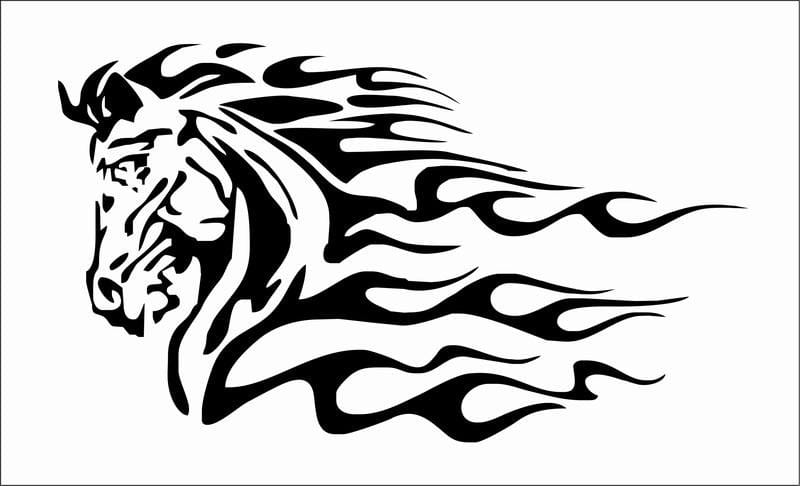 Flaming-animal-10 1 Flaming-animal-10