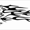 Flaming-animal-30