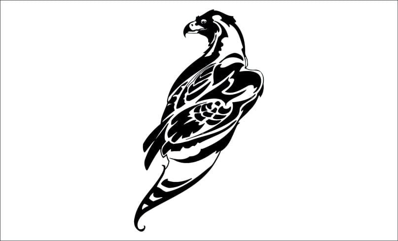 Aguila-aigle 1 Aguila-aigle