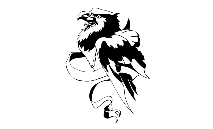 Aguila-orao 1 Aguila-orao