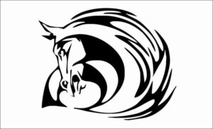 Flamings con animales