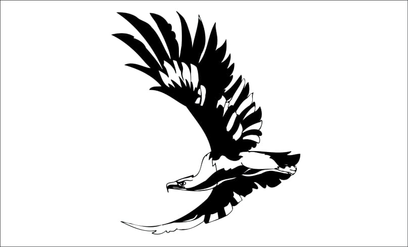 Aguila-orol